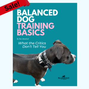 E-book, "Balanced Dog Training Basics: What the Critics Don't Tell You."