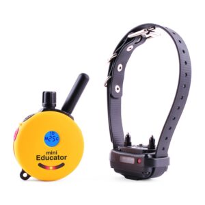 E-collar Mini Educator 